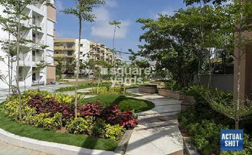 Mangalam Ankshu Ecstasy