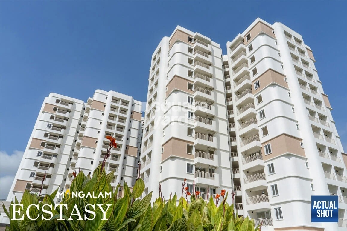 Mangalam Ankshu Ecstasy