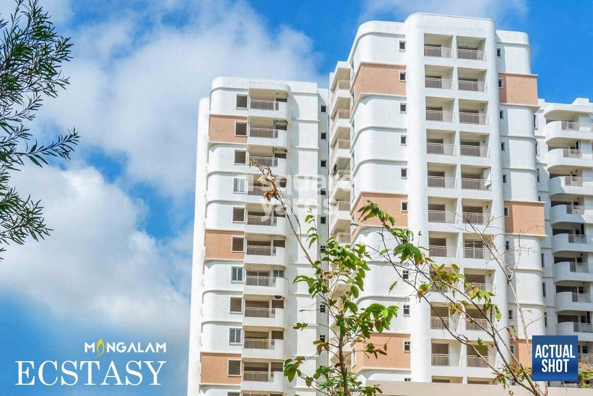 Mangalam Ankshu Ecstasy