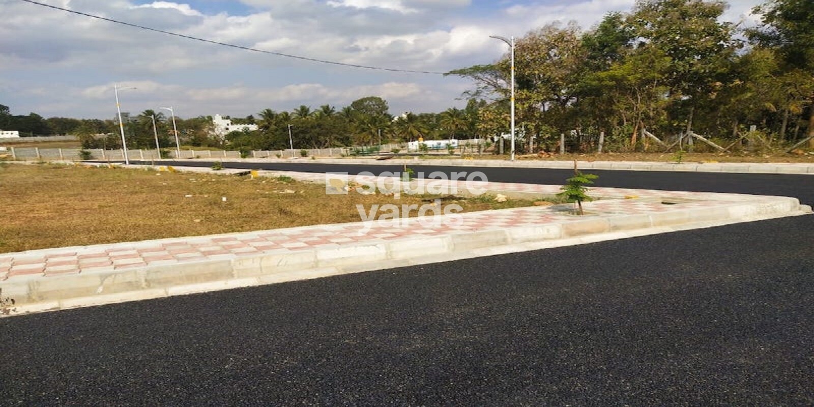 Max Concorde Tapovan