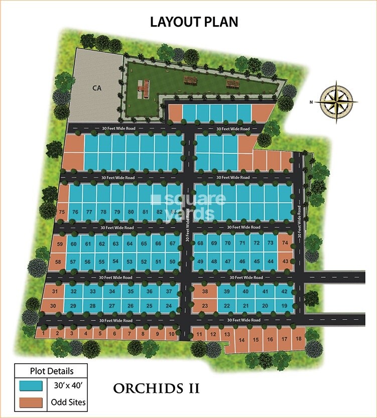 Max Orchards Phase II Master Plan 1