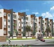 MBM Green Woods