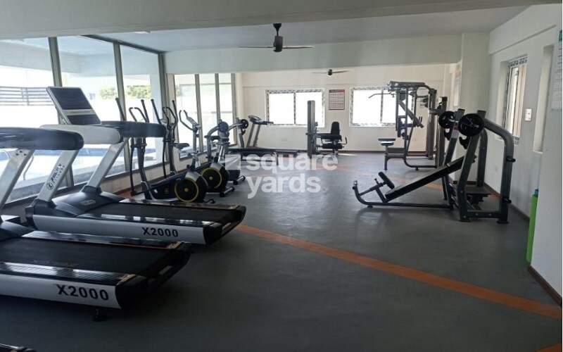 MC Fortune Gymnasium Image