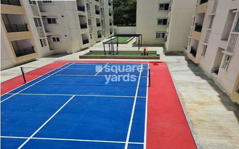 MC Fortune Sports facilities Image 2