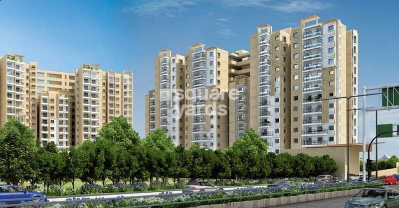 Meda Heights Tower View 1