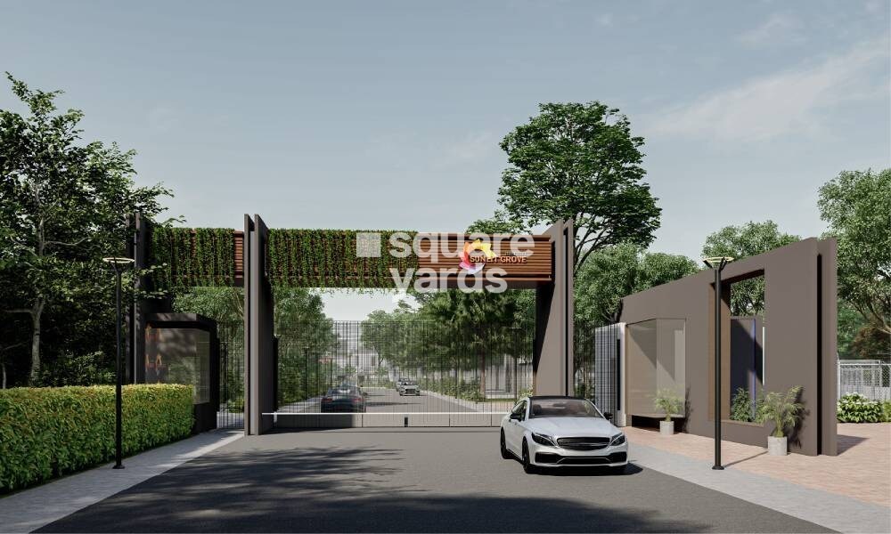 Merusri Sunlit Grove