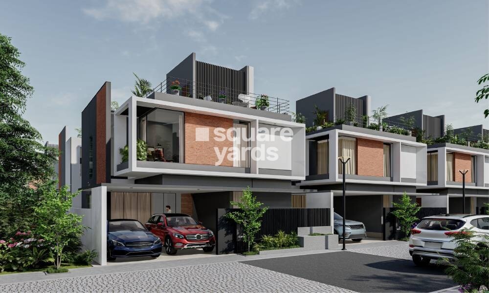 Merusri Sunlit Grove