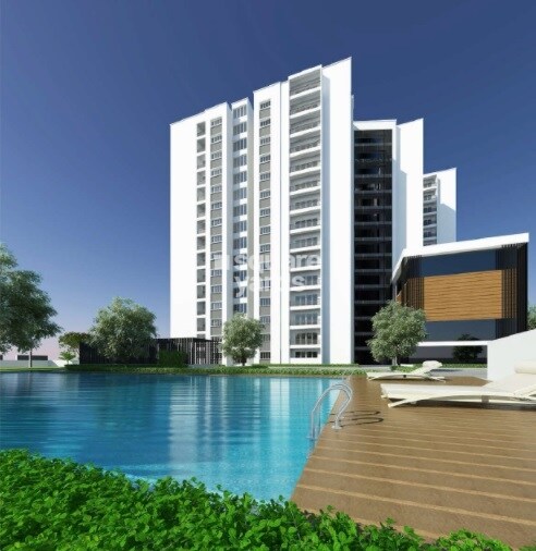 Mithuna White Aspera