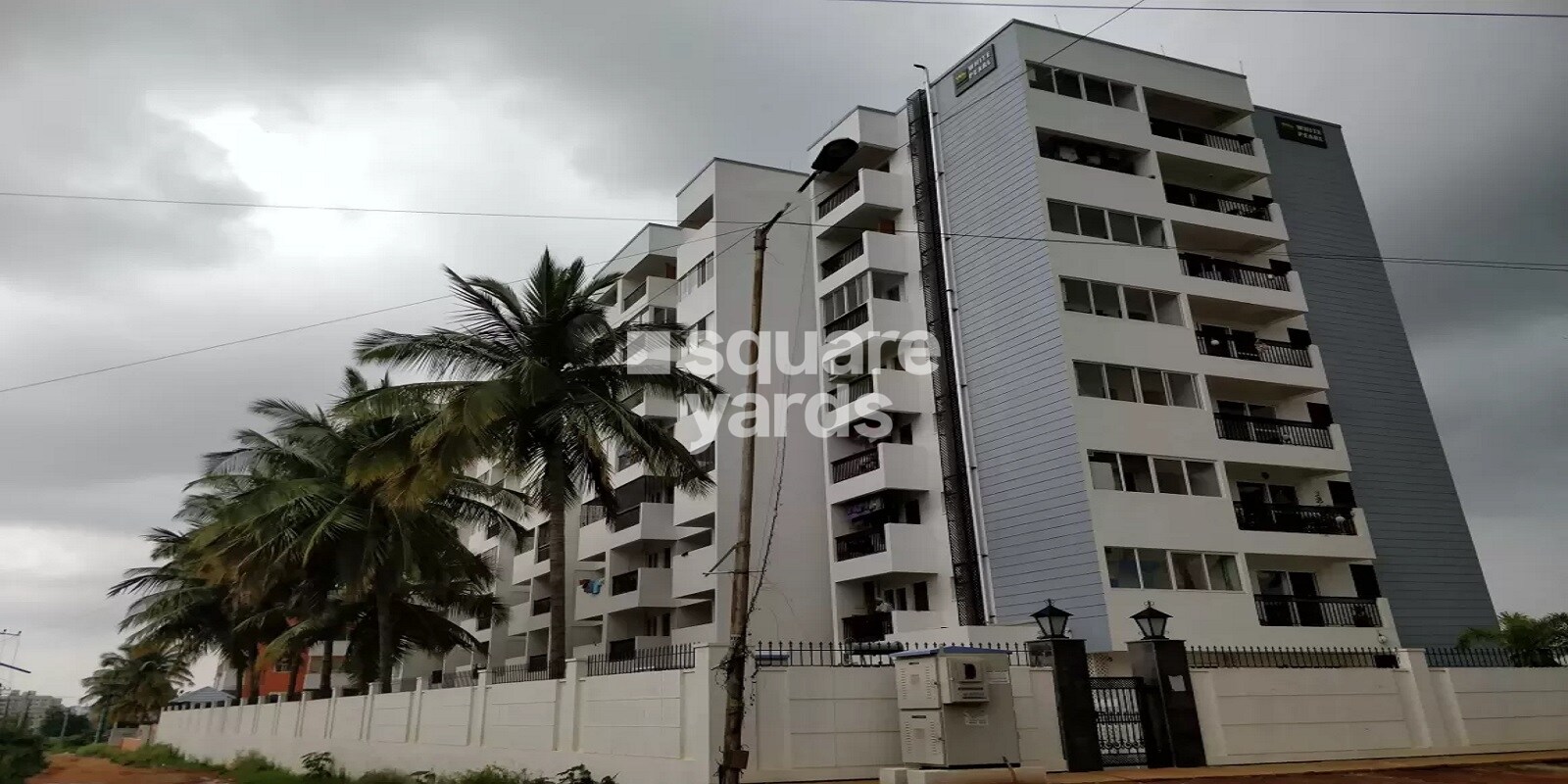 Mithuna White Pearl Featured Image