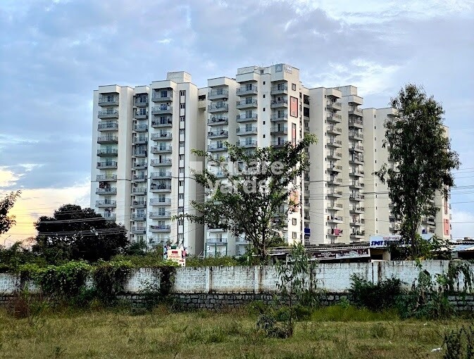 MJ Lifestyle Amadeus Tower View 7