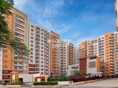 MJR Pearl Tower View 5