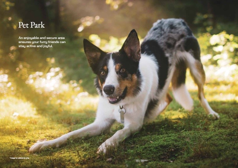 Modern Engrace Vista