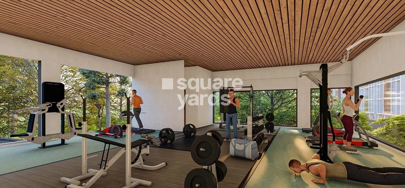 Modern Soul Tree Bliss Gymnasium Image