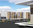 Modern Soul Tree Serinity