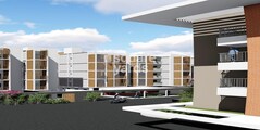 Modern Soul Tree Serinity