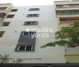Modini Blooming