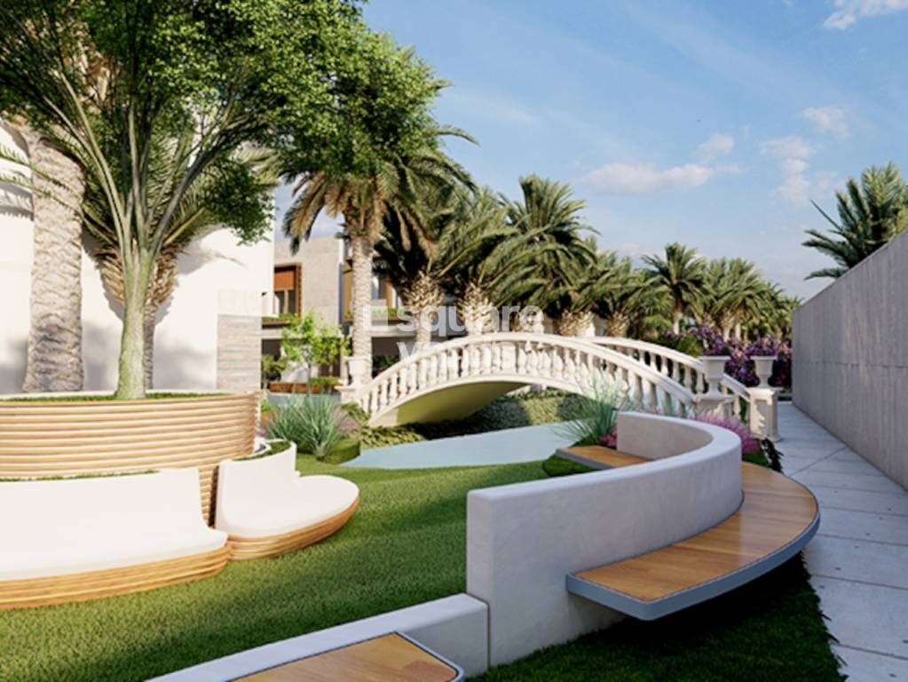 MS Spring Green Meadows