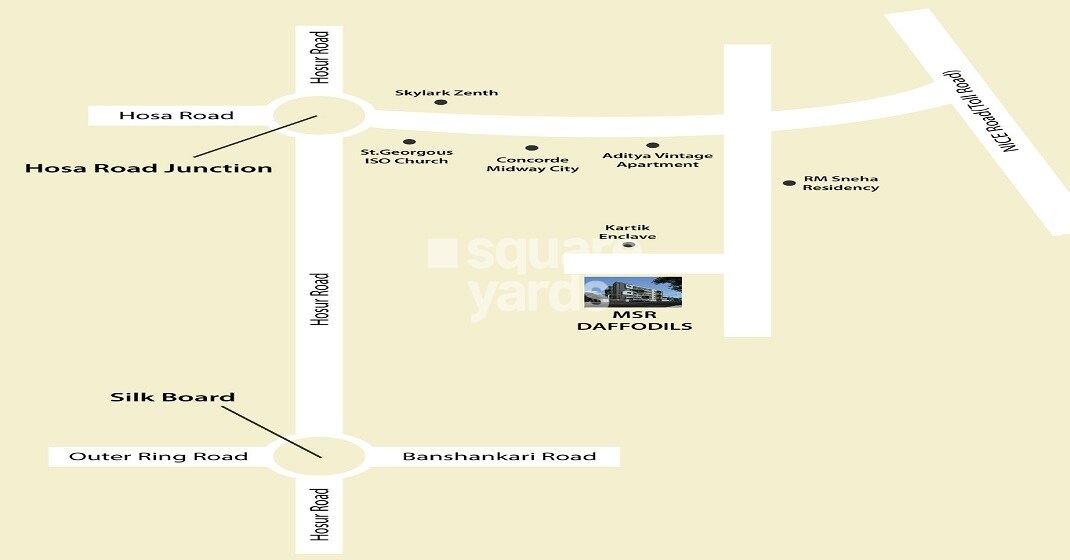 MSR Dwellings Daffodils