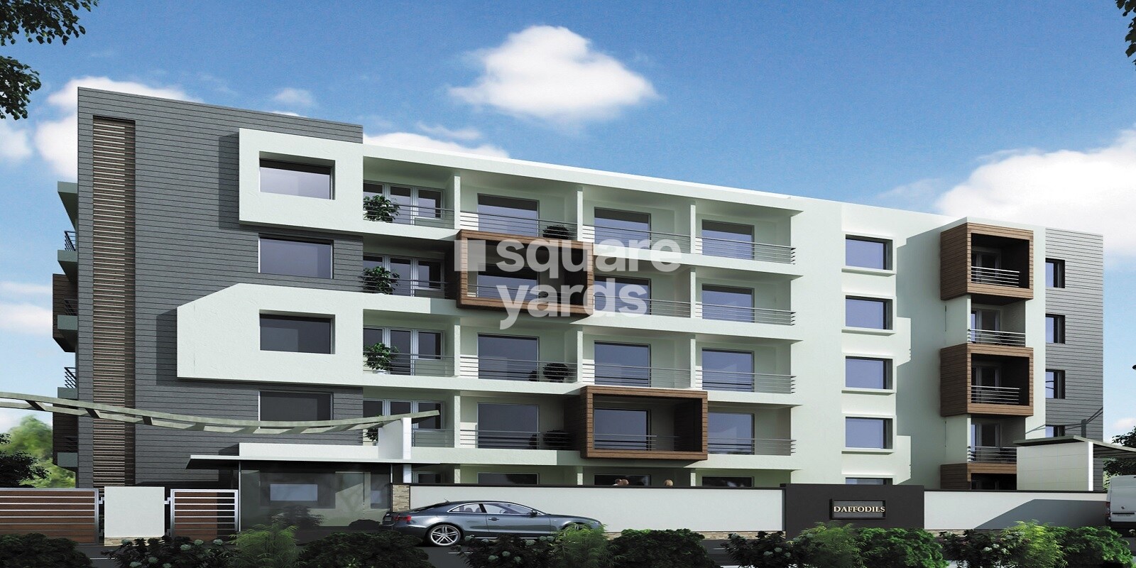 MSR Dwellings Daffodils