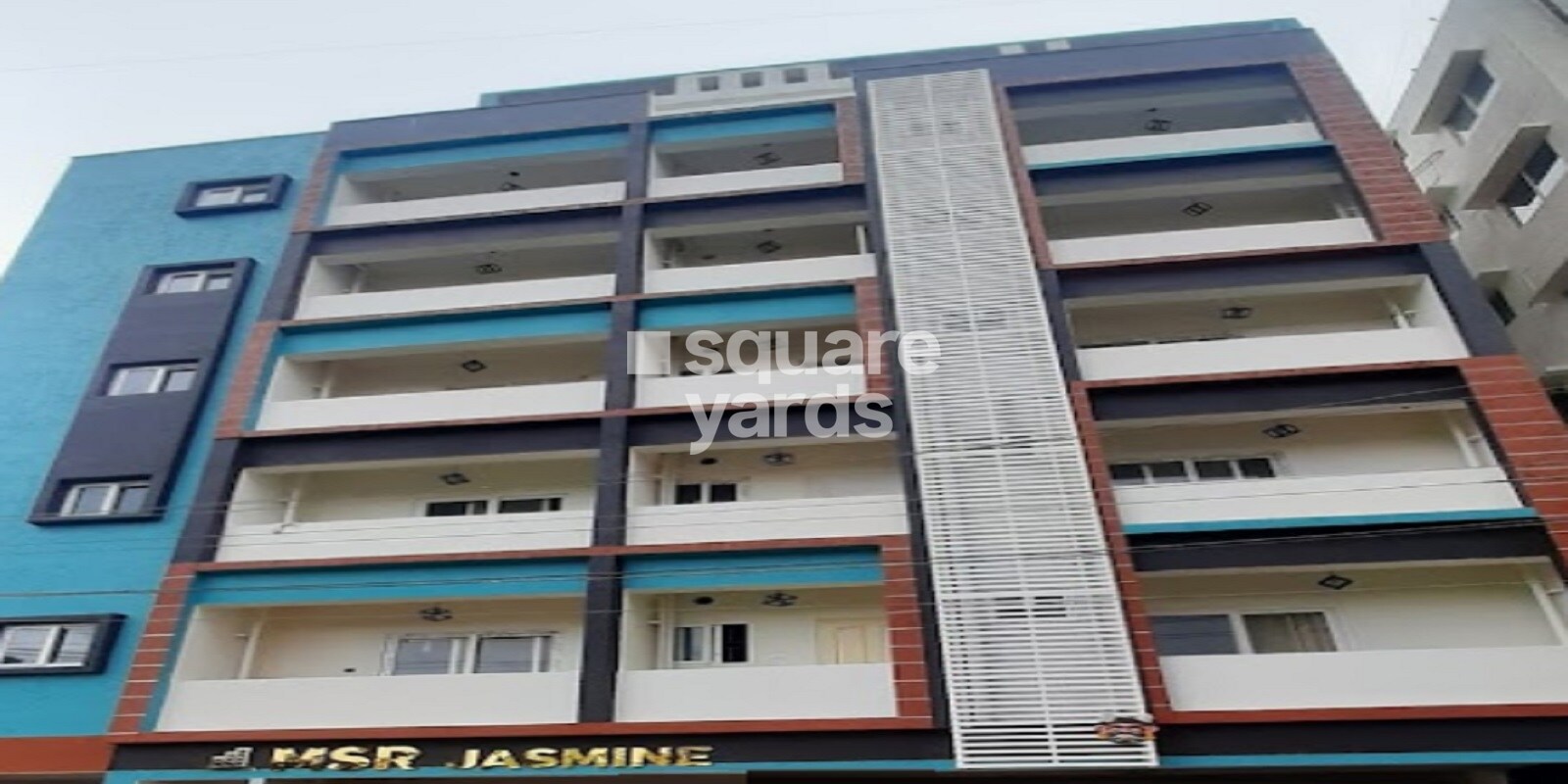 MSR Jasmine Featured Image