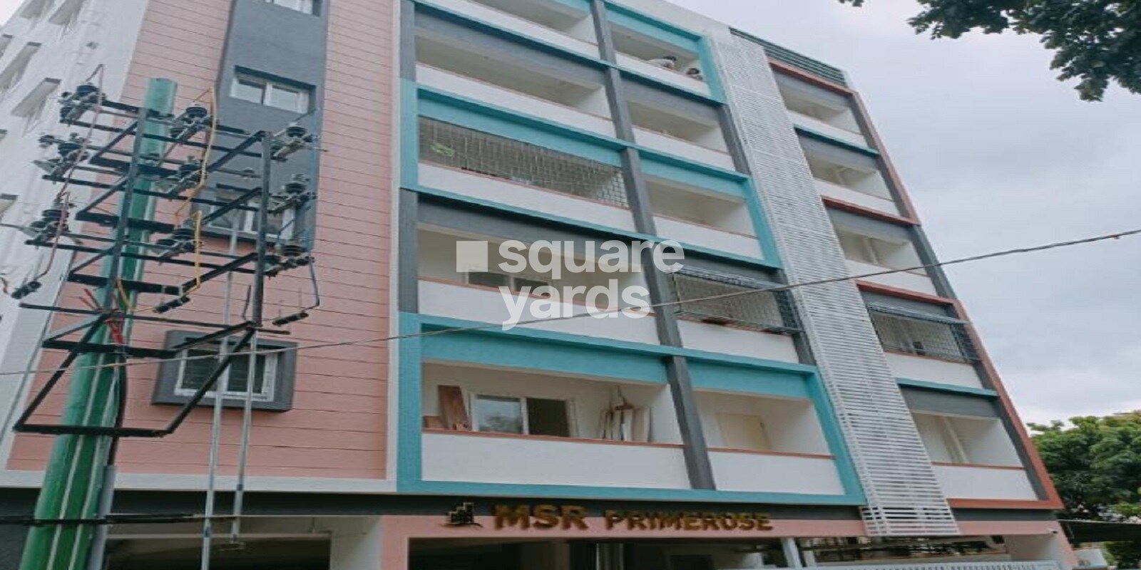 MSR Primerose