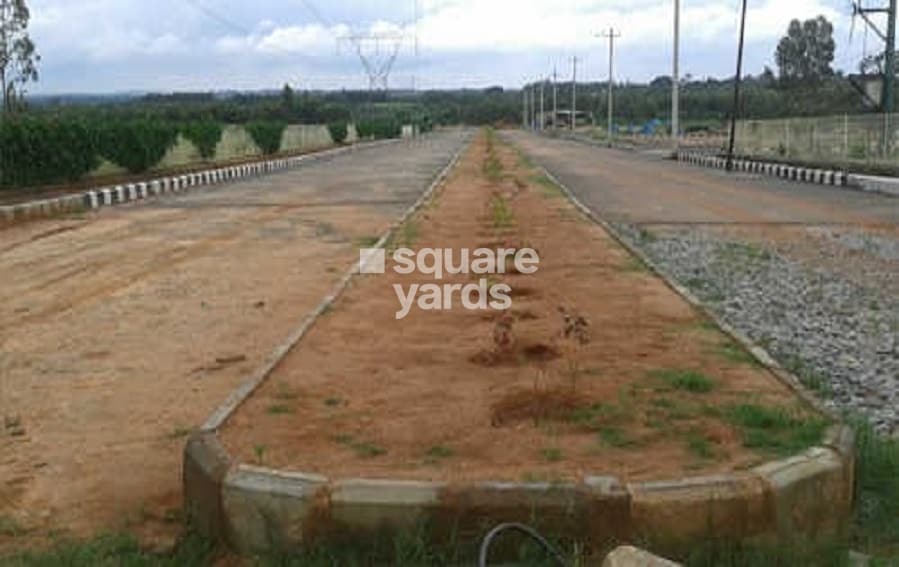 Nakshatra Morganite Amenities-Features