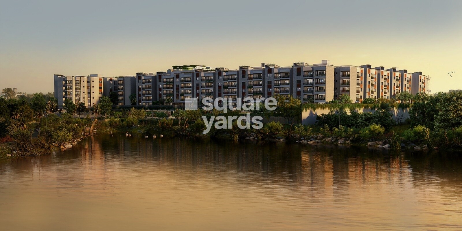 Nandi Meraki Featured Image