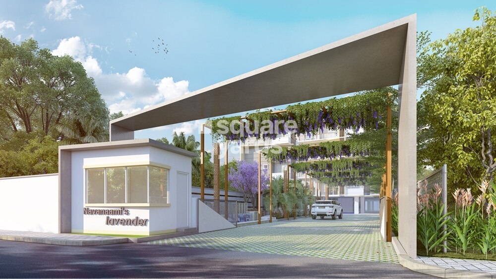 Navanaami Lavender