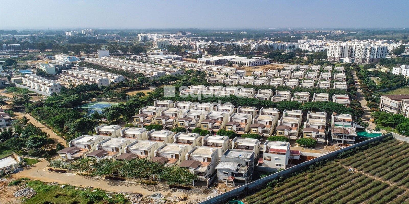 NCC Urban Green Province Featured Image