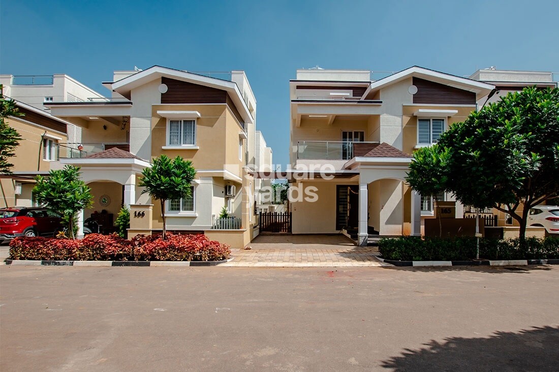 NCC Urban Green Province