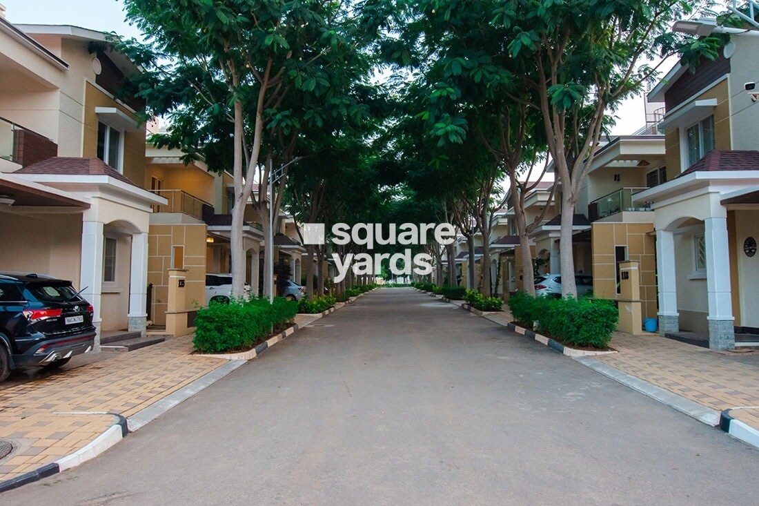 NCC Urban Green Province