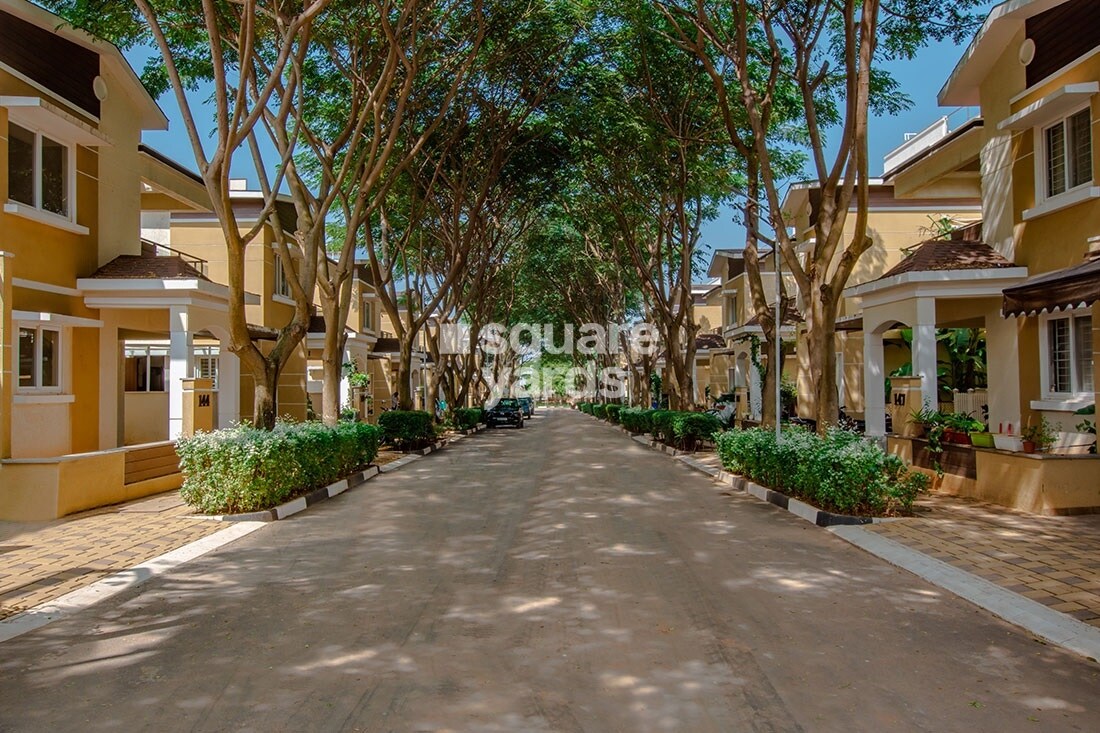 NCC Urban Green Province