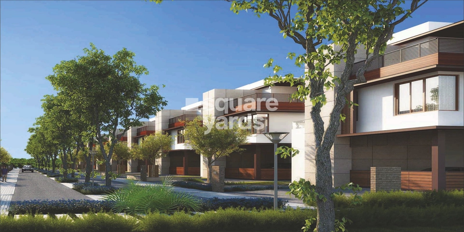 NCC Urban Misty Woods