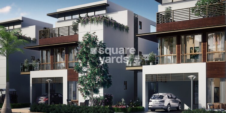 NCC Urban Misty Woods Tower View 4