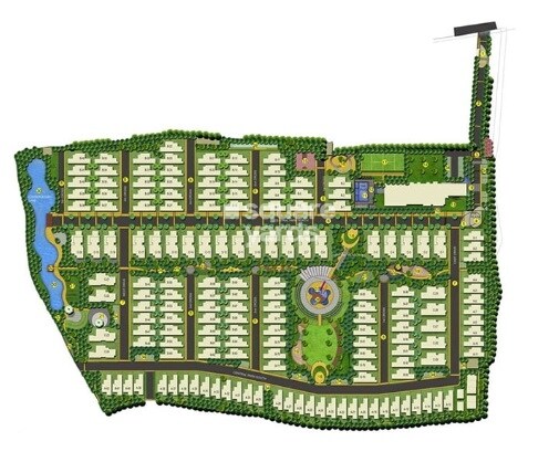 ND Around The Mangoes