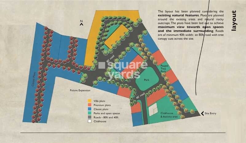 Ninthmile-Peepal-Tree_a drawing of a kite on a piece of paper