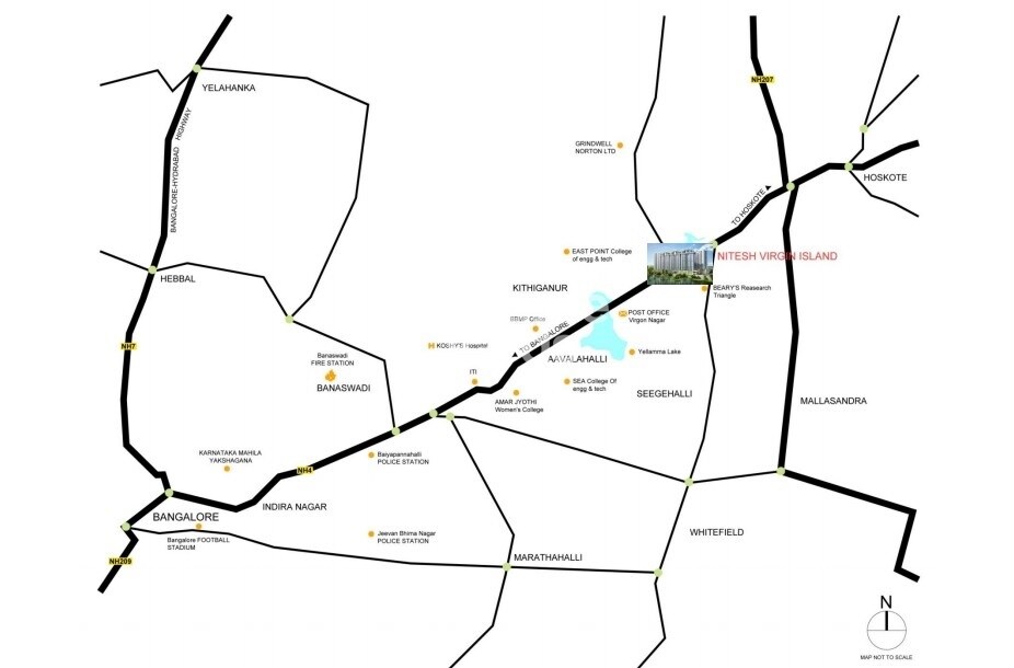 Nitesh Virgin Island