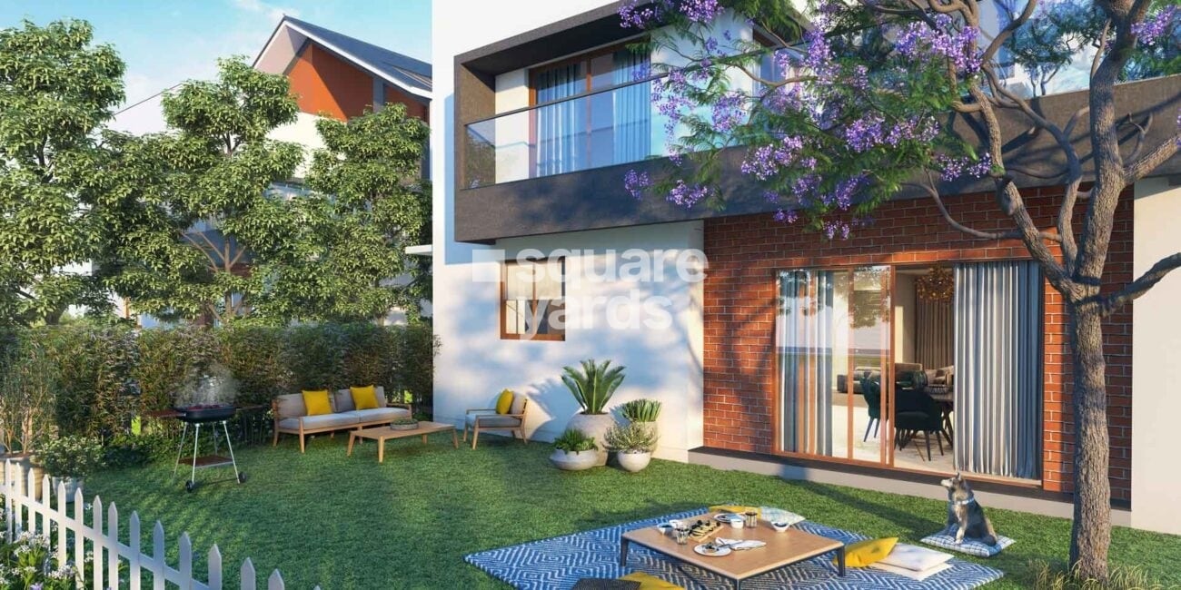 NVT Symphony of Orchards