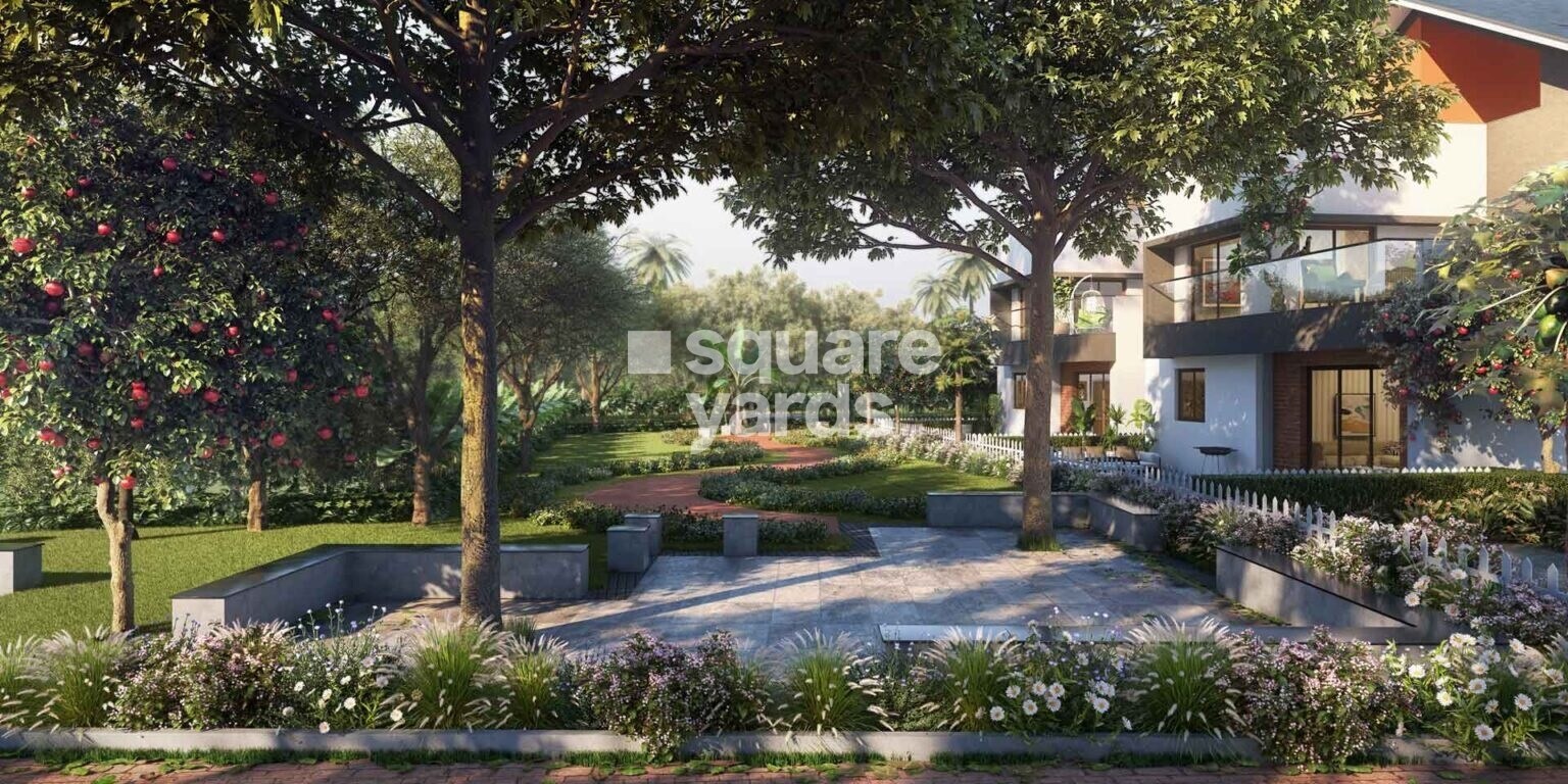 NVT Symphony of Orchards Greens Image