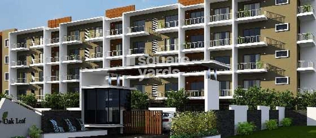 Oak Leaf Tower View 2