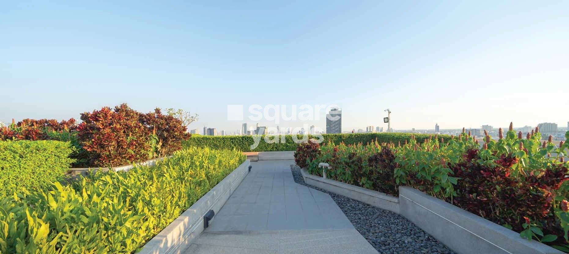 Oceanus White Meadows