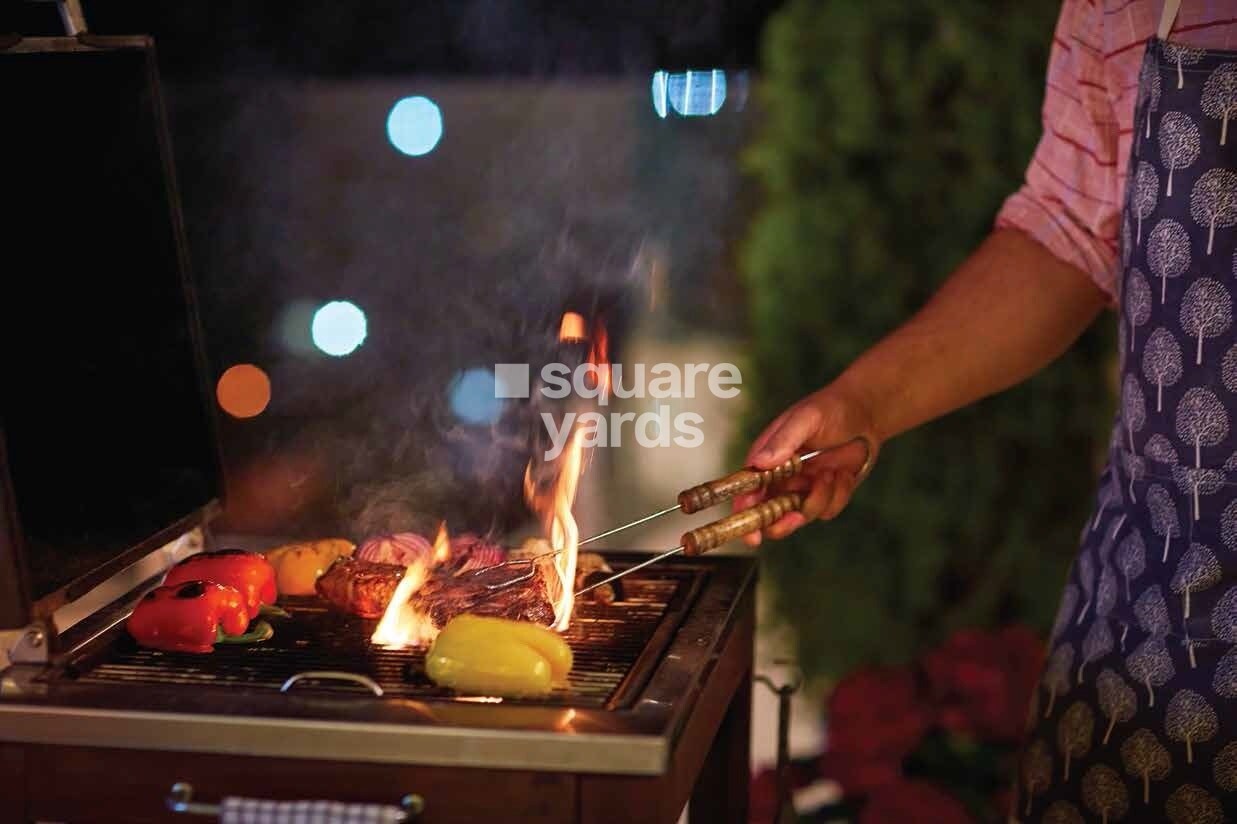 Oceanus White Meadows