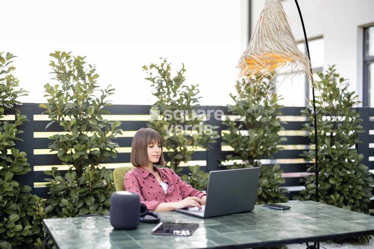 Oceanus White Meadows