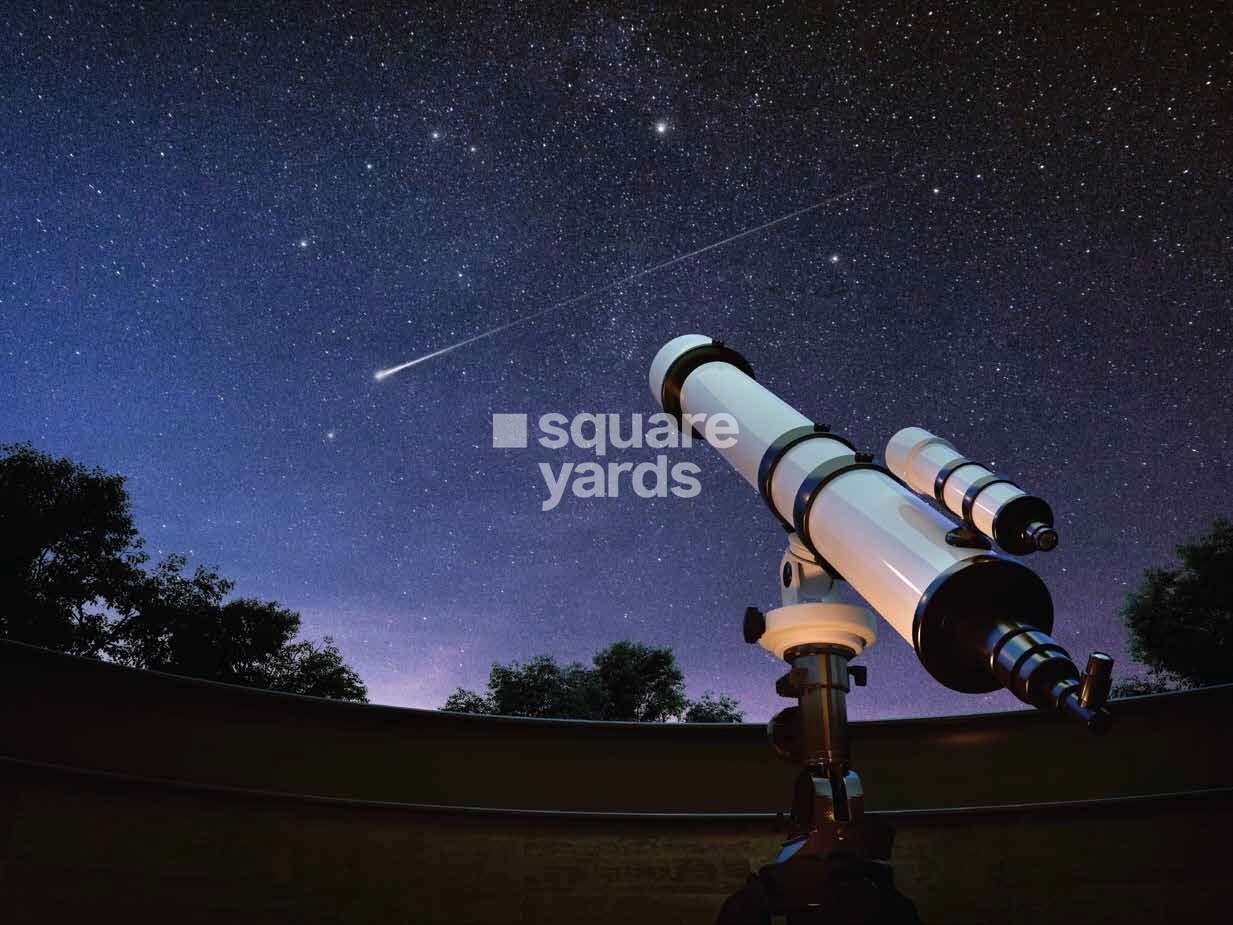 Oceanus White Meadows