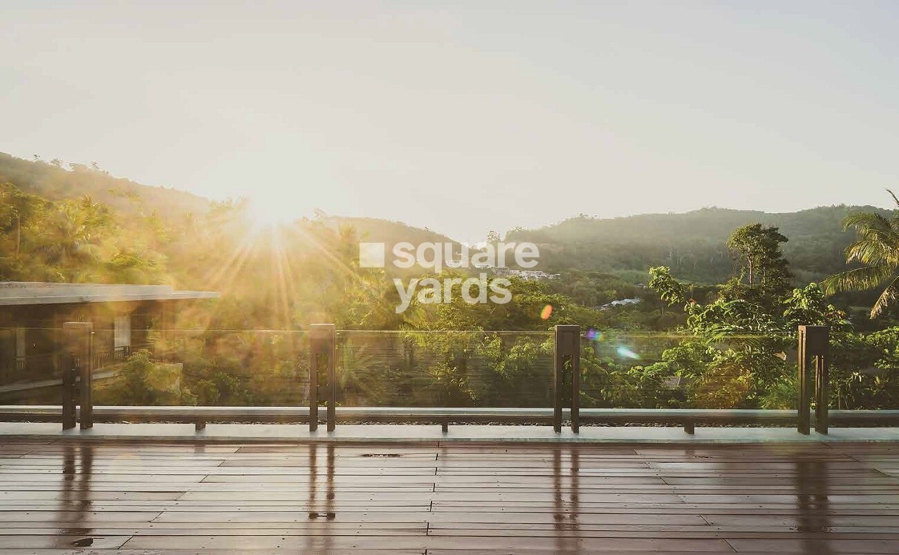 Oceanus White Meadows