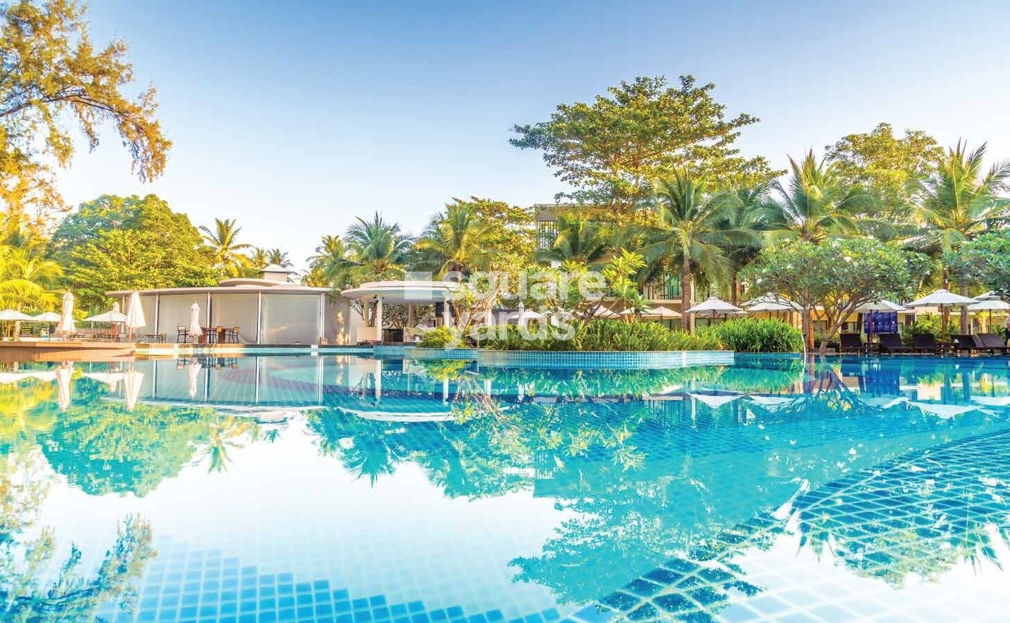 Oceanus White Meadows