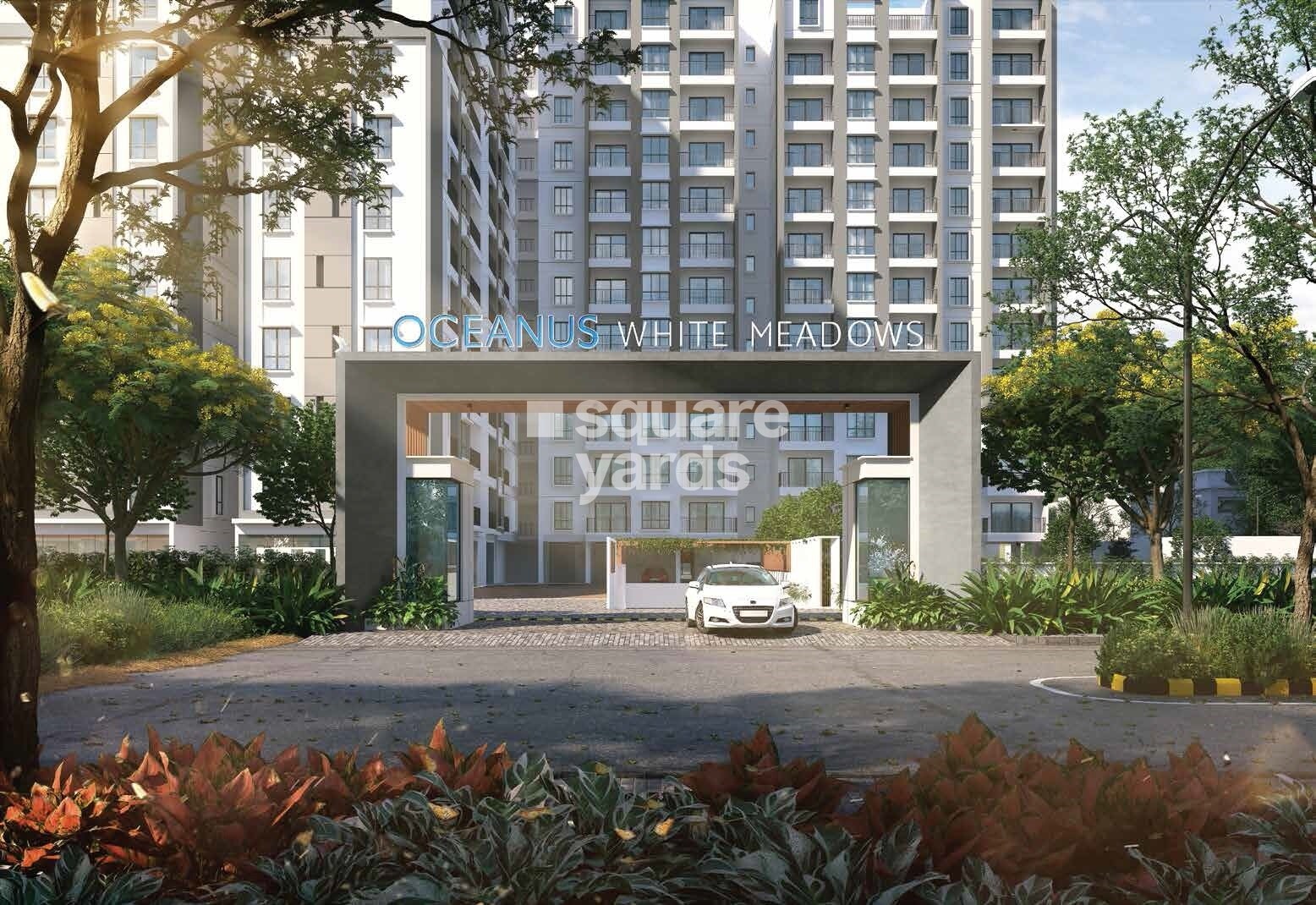 Oceanus White Meadows