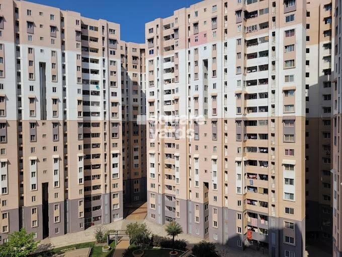 Ozone Evergreens Tower View 6