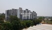 Palm Groves Tower View