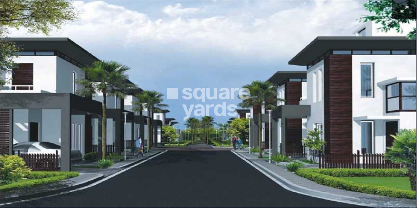 Pearl Palm Vistas